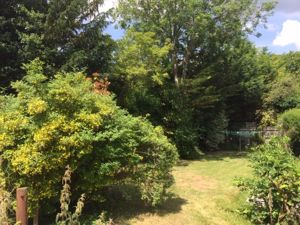 Photo 12- click for photo gallery